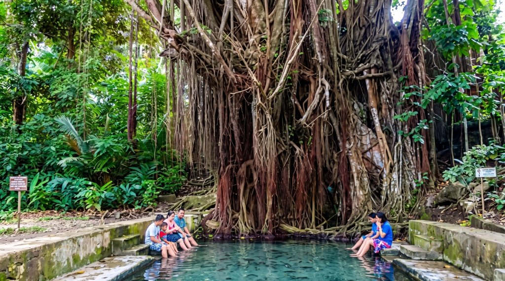 Old Enchanted Balete Tree & Fish Spa (Lazi)